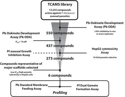 Fueling Open Innovation for Malaria <mark class="highlighted">Transmission-Blocking</mark> Drugs: Hundreds of Molecules Targeting Early Parasite Mosquito Stages